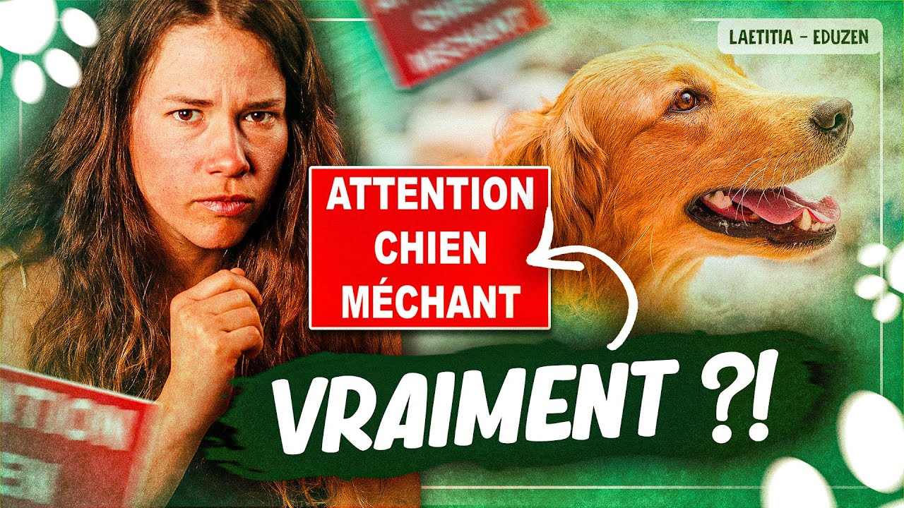 Votre chien peut-il être dangereux ? | Laetitia Gonnon - Eduzen