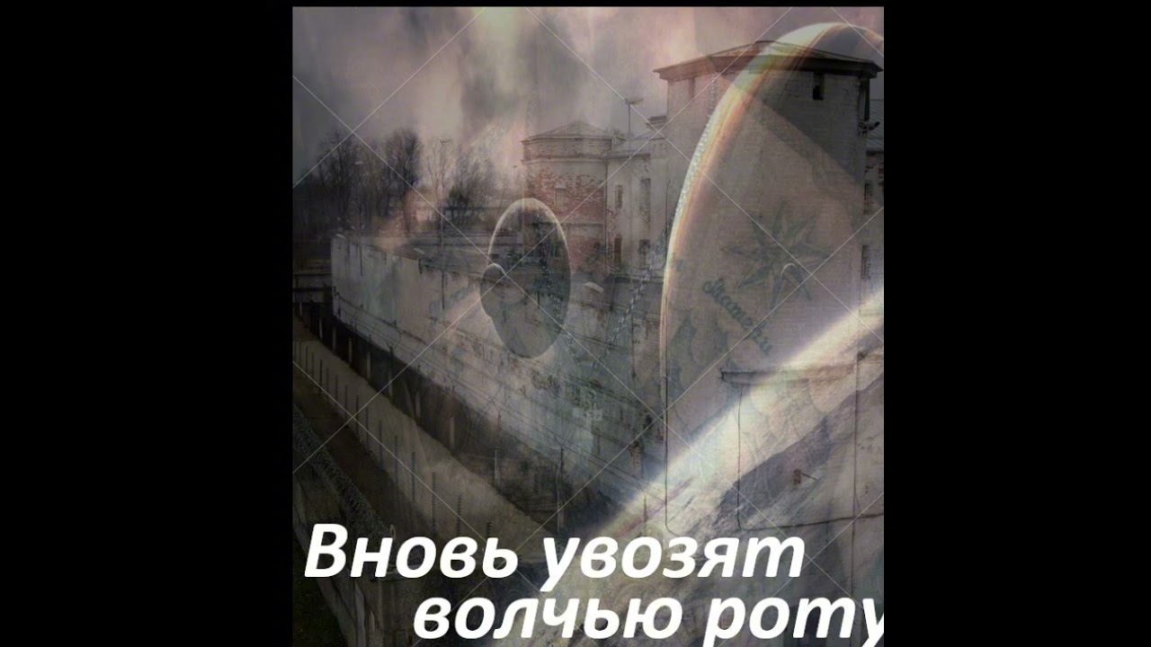 #музыка #вновь увозят волчью роту