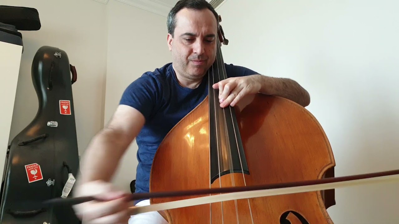 Shostakovich - Symphony n.5, 1st & 4th Movement - Double Bass excerpt