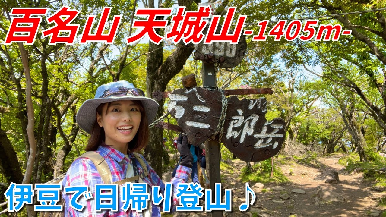 【日帰り登山 in伊豆】百名山の天城山でシャクナゲのトンネルを堪能🌸バスでアクセスも楽々🚌