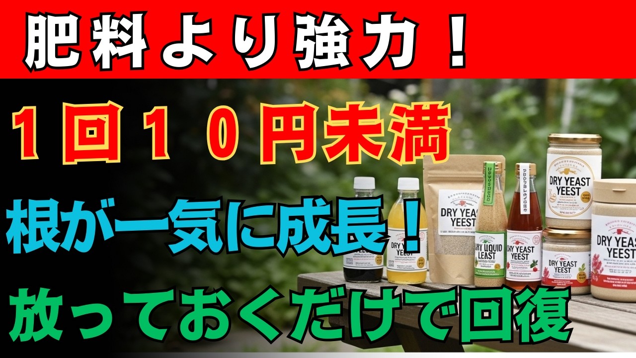 【９９％の家庭菜園が見落とす】肥料はまだ不要！台所の「アレ」を混ぜるだけで根が爆増し、弱った苗も放置で回復　収穫量が3倍に