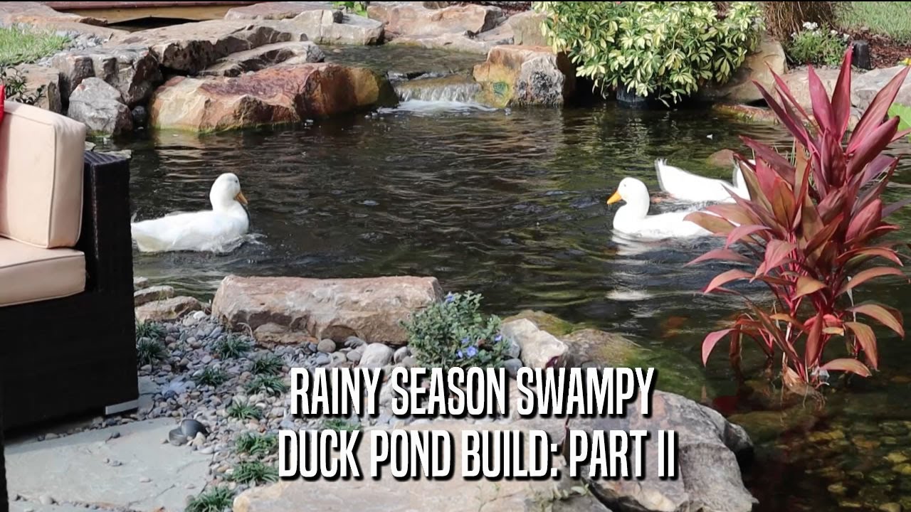 Rainy Season Swampy Duck & Koi Pond Build: Part II