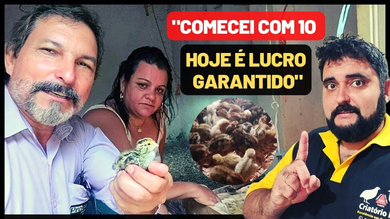 Da Enfermagem à Criação de Codornas: A Incrível História da Enfermeira Empreendedora em Minas Gerais