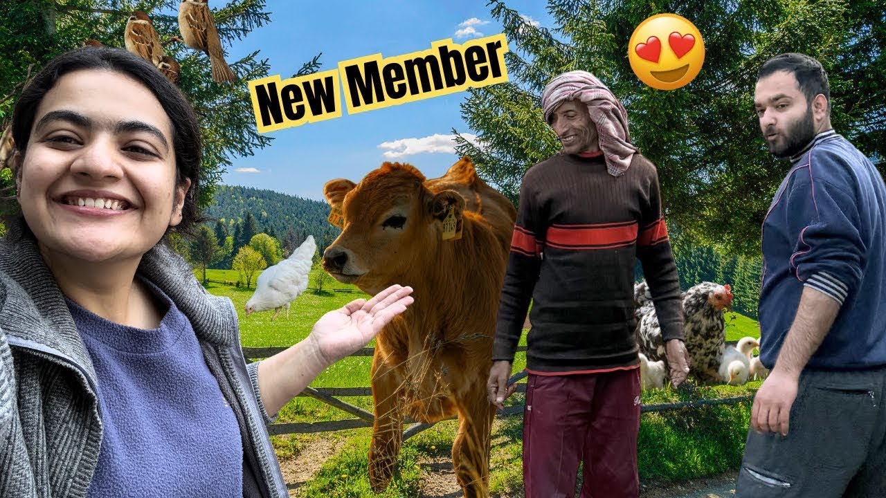 FARM life Vlog☺️