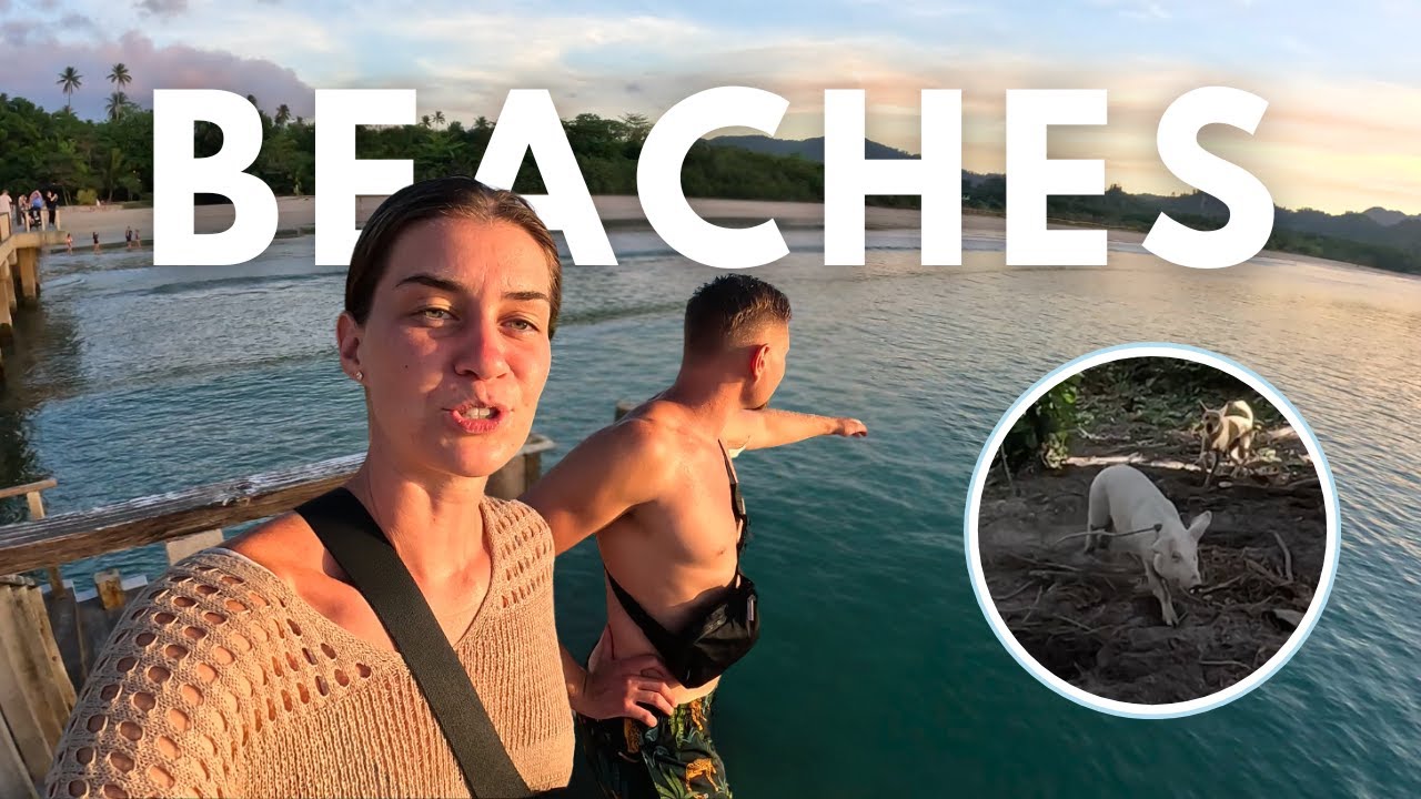 Beach Hopping in El Nido Takes a Turn: The Pig Bullying Saga 🇵🇭