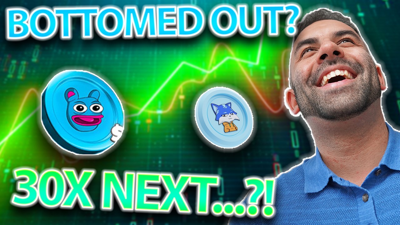 BRETT VS TOSHI?? WHICH 30X COIN MAKES MORE PROFIT WHEN MEMECOINS MASSIVE COMEBACK PUMP NEXT BULL RUN