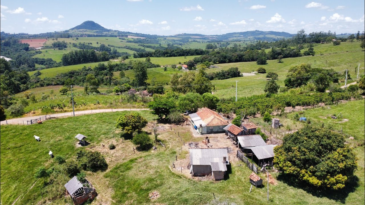 SÍTIO COM CAFÉ E PASTO E UMA BELA VISTA PANORÂMICA EM IBAITI - PARANÁ.