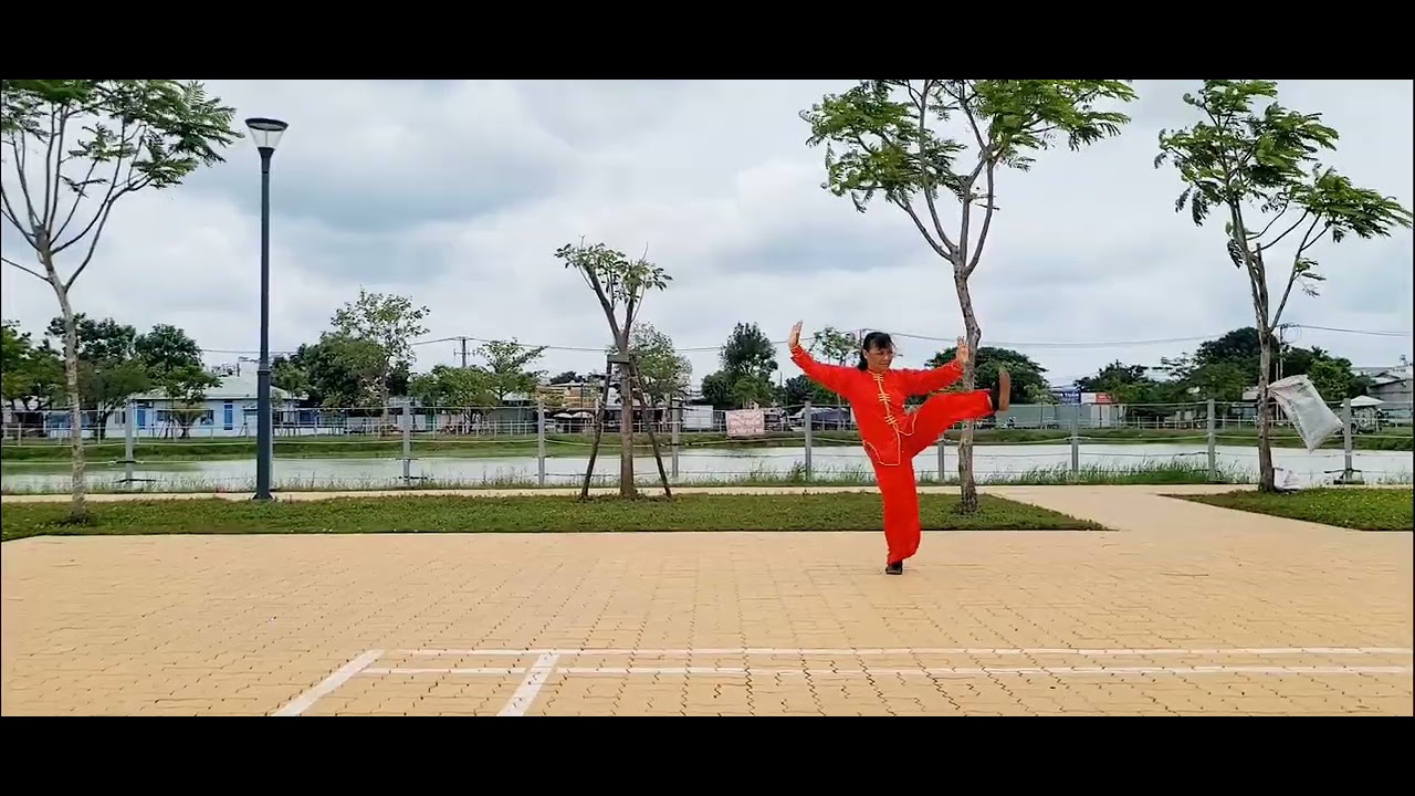 THÁI CỰC QUYỀN 40 THỨC 