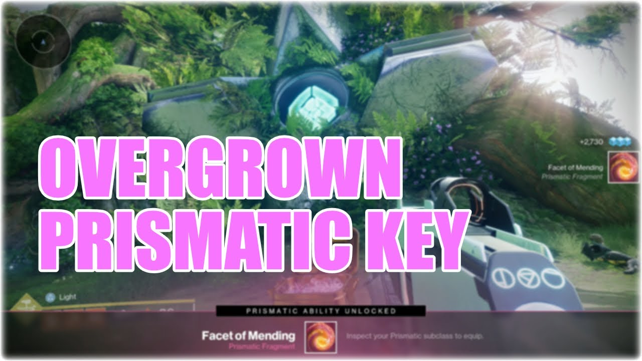 How to get the Overgrown Prismatic Key