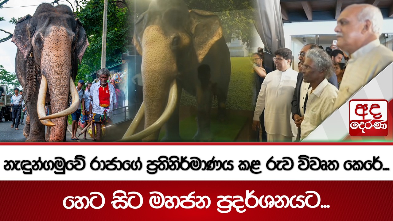 නැදුන්ගමුවේ රාජාගේ ප්‍රතිනිර්මාණය කළ රුව විවෘත කෙරේ... | හෙට සිට මහජන ප්‍රදර්ශනයට... |  Ada Derana
