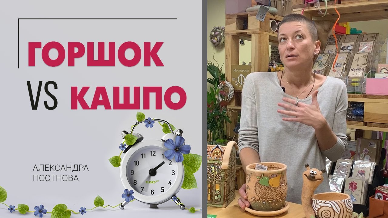 Горшок или кашпо - что выбрать? Разница, недостатки и плюсы каждого из них. Сравниваем и выбираем.