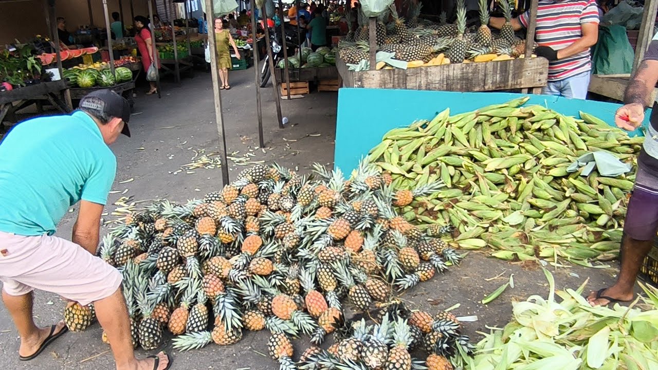 CONHEÇA A MAIOR FEIRA LIVRE DO BREJO PARAÍBANO/ GUARABIRA A RAINHA DO BREJO