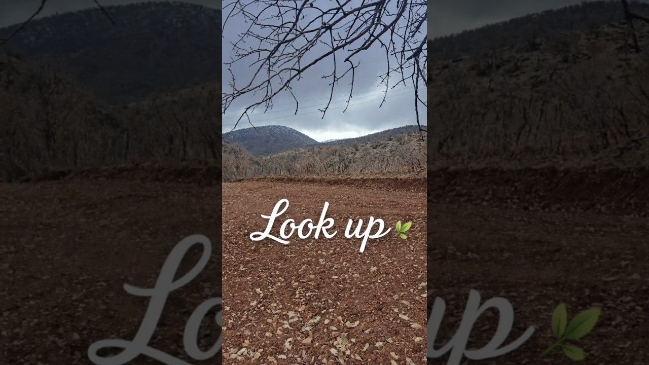 Look up 🌿💚