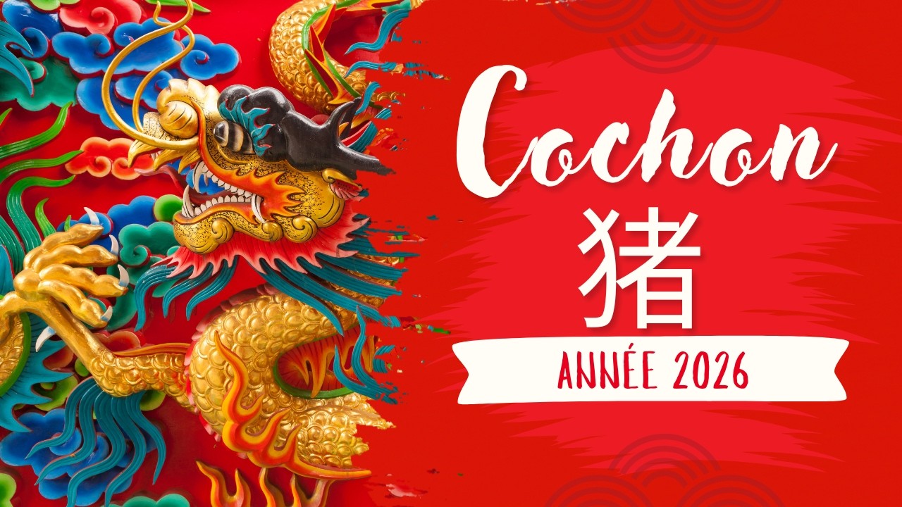 Astrologie Chinoise 2026 Prévisions pour le COCHON 🎏⛩️✨✨