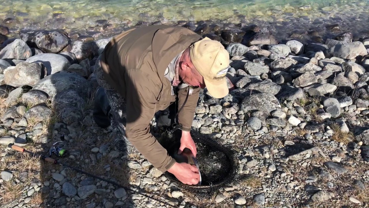 Как ловят Форель Новой Зеландии