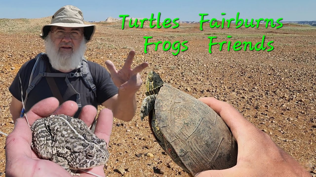 Fairburn Agate hunting in the Great Plains!