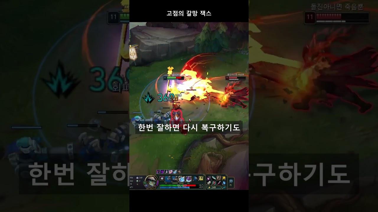 고점의 갈망 잭스