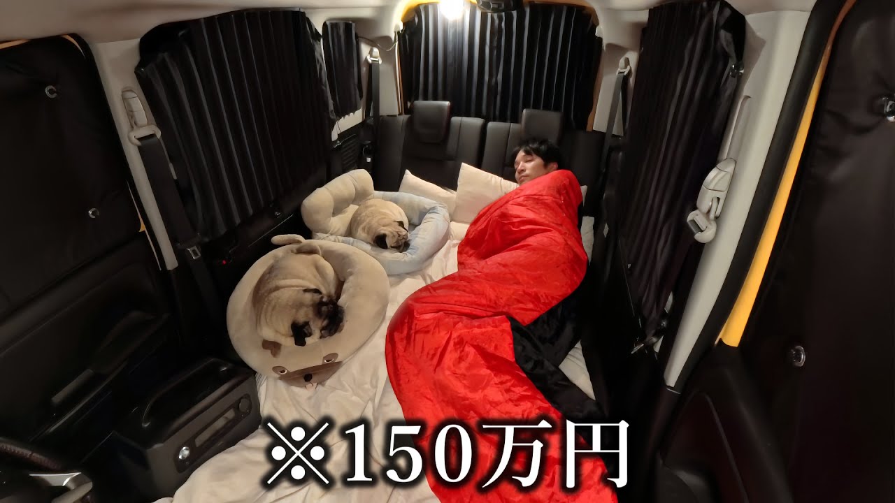 【車中泊】軽自動車、犬2匹、鉄コーラ。海岸で偶然の出会い…