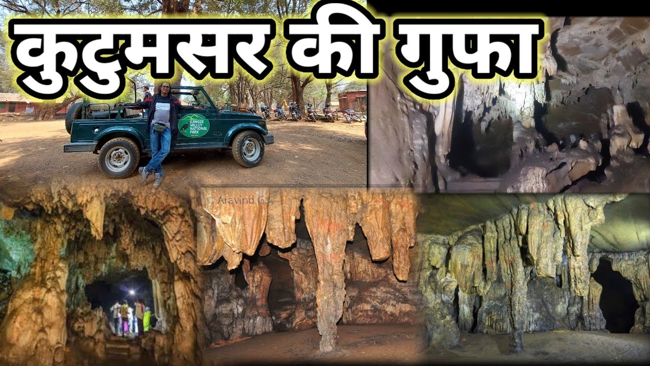 कुटुमसर गुफा | Kutumsar Cave | Kutumsar ki gufaa | Jungle Safari| Kanger Valley National Park | 2024
