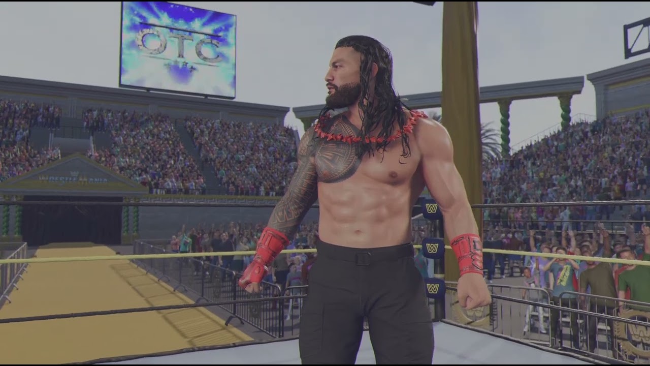 Roman Reigns vs CM Punk!