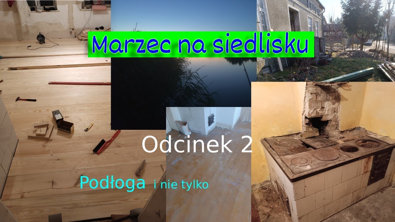 Remont siedliska , marzec 2025 cz.2  odc.5