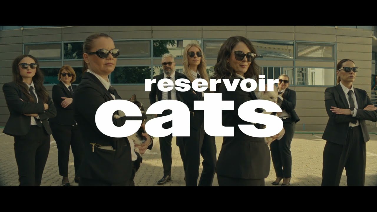 Cu BUNE și cu RELE Sezonul 7 – Reservoir Cats