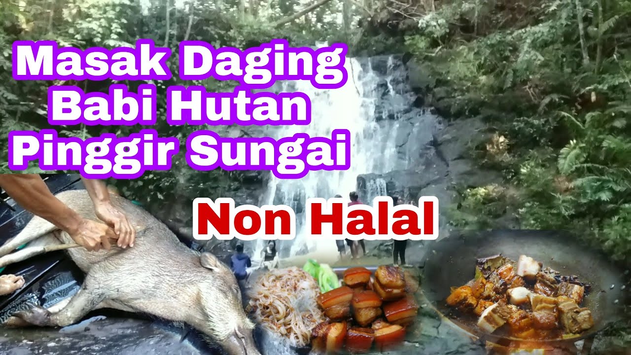 Masak babi hutan pinggir sungai #SukuDayak