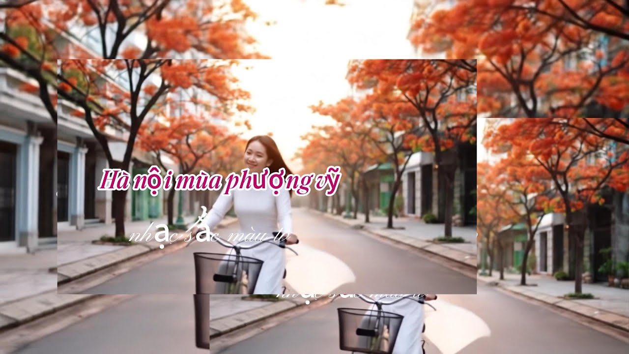 Hà Nội Mùa Phượng Vĩ – Một Mùa Hạ Đỏ Khó Quên