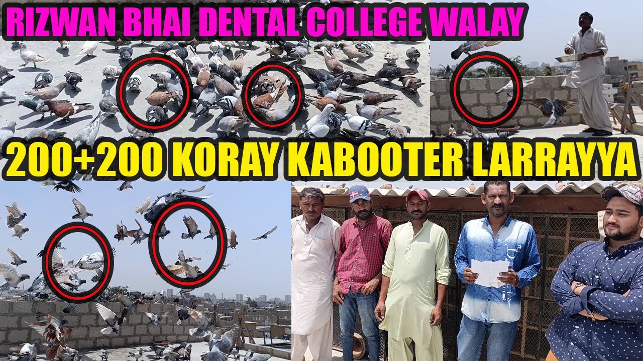 200+200 Koray Kabooteron Ki Larrayya Rizwan Bhai VS Nadeem Bhai Dental College  Titu Bhai Ne Elaan