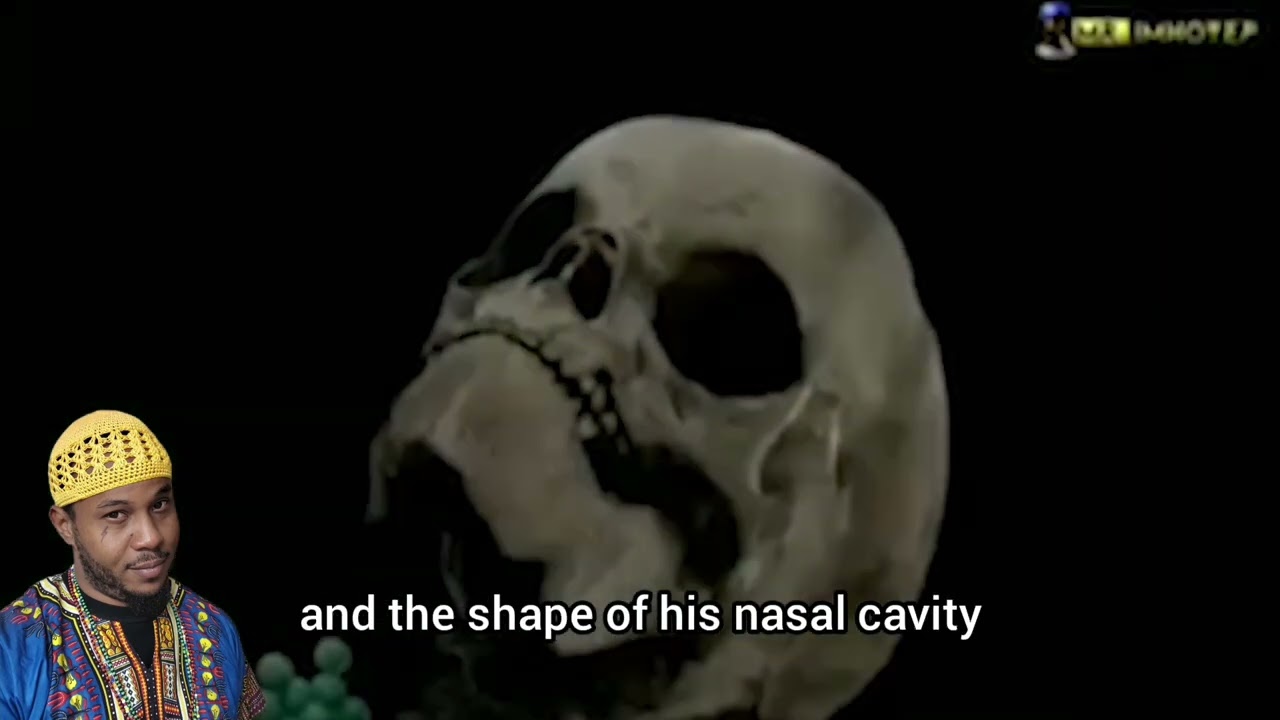Ancient Egyptian racial identity 