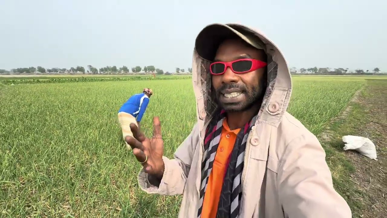 আলহামদুলিল্লাহ আমার রসুনের বয়স দুই মাস একদিন রসুনের জমির আগাছা পরিষ্কার করলাম 