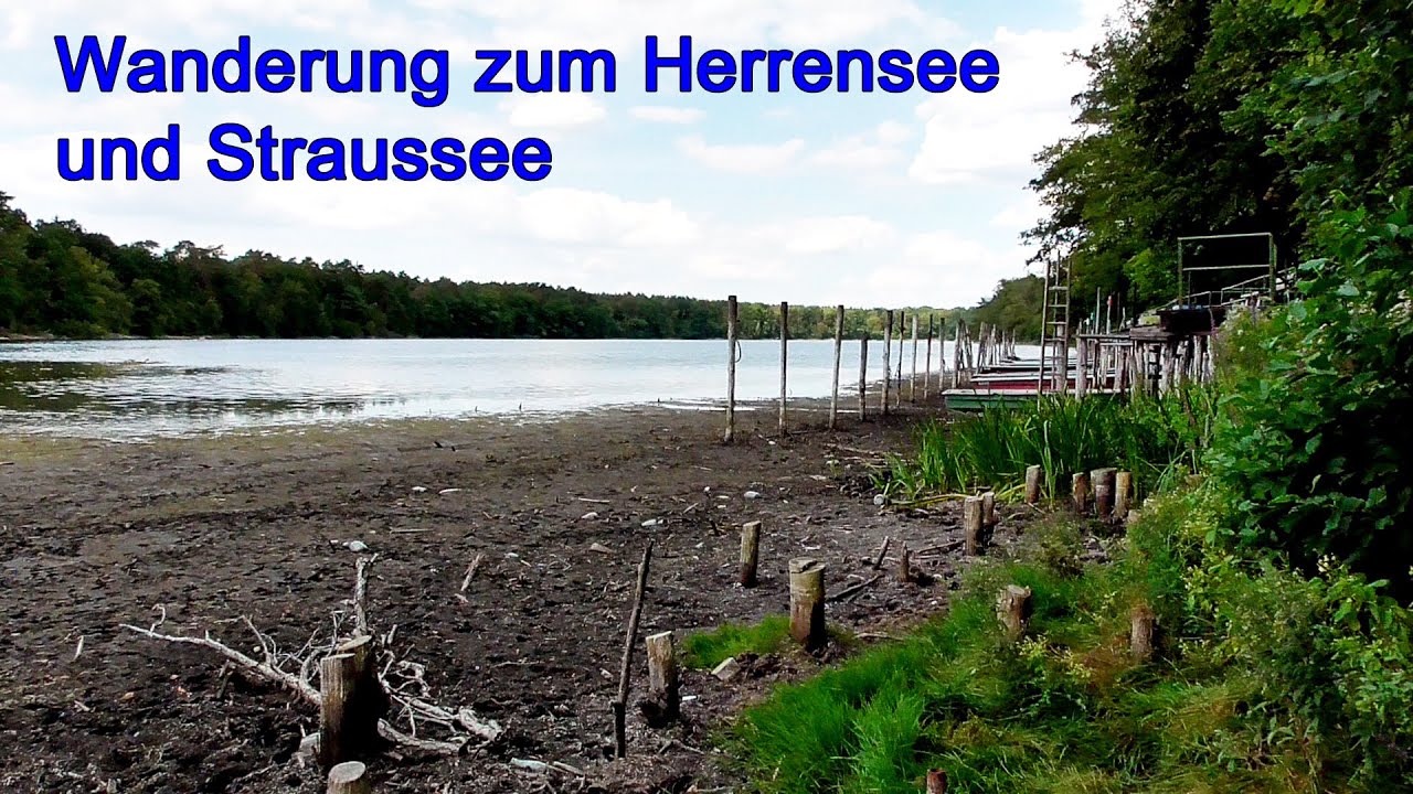 Mit dem 9-Euro-Ticket nach Strausberg | Wanderung zum Herrensee und Straussee