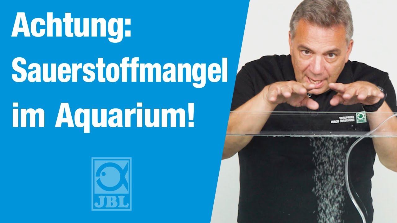 JBL TV 48: Auch Fische müssen atmen - Sauerstoffgehalt (O2) messen und erhöhen