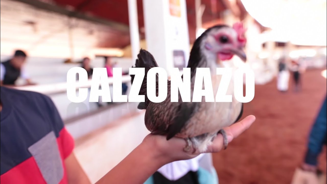 🏆 CALZONAZO Expo Guadalajara 10 Aniversario  🏆