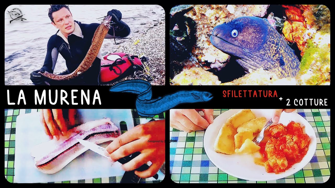 LA MURENA: SFILETTATURA e 2 COTTURE (Dove c'è Acquolina)