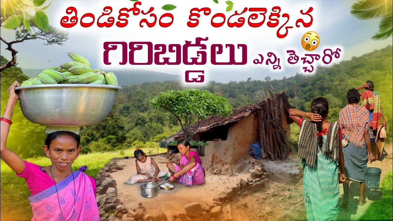 Real life of KONDH tribe:ఎత్తయిన కొండలపై అడవిబిడ్డల ఆహార అన్వేషణ @TribalMirror 
