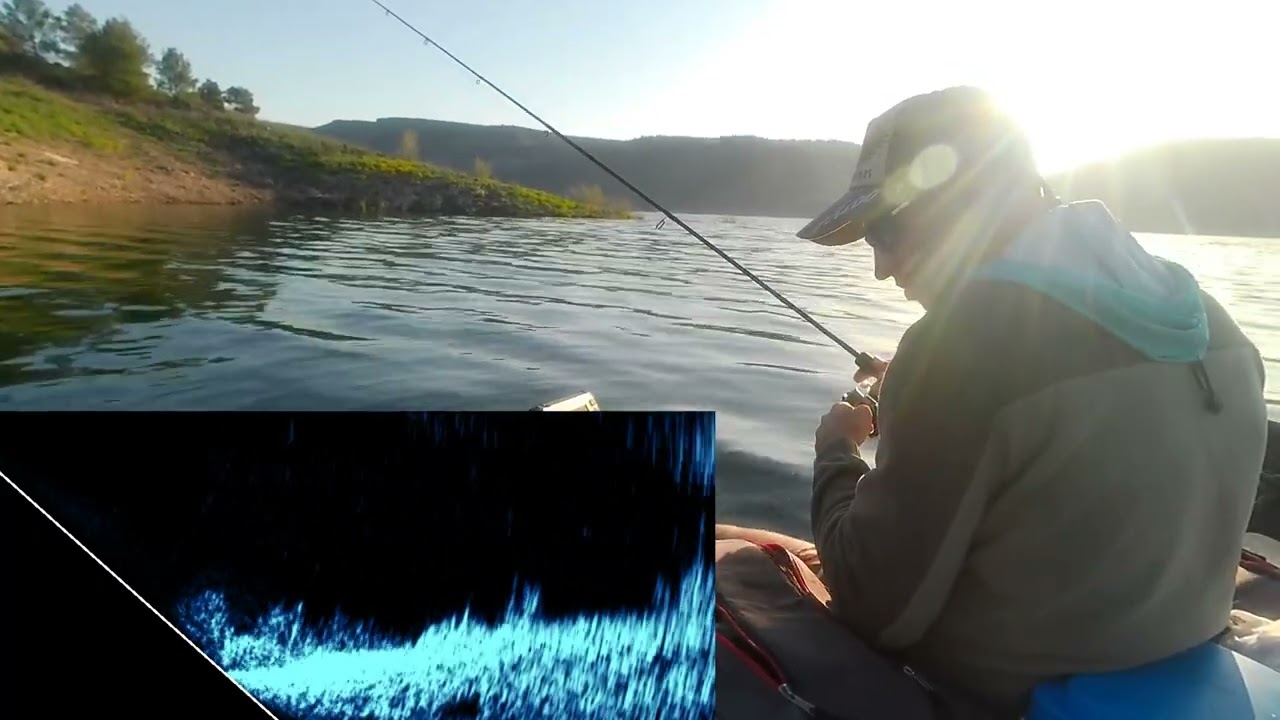 Picada en directo con sonda lowrance eagle eye 9