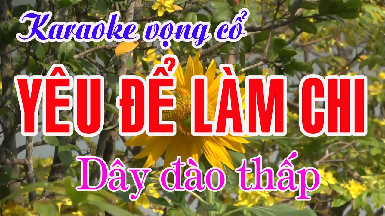 Karaoke Tân cổ: YÊU ĐỂ LÀM CHI - Dây Đào thấp - Tác giả: Nguyễn Hữu Nghĩa
