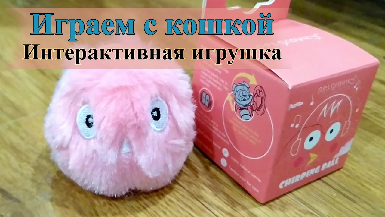Играем с кошкой | Приобрели интерактивную игрушку | Так и Живём | 21.01.2023