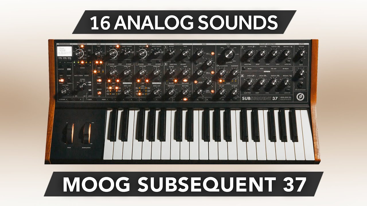 MOOG SUB 37 / SUBSEQUENT 37 ♫ 16 Custom Sounds ► Pure Analog V1 Sound Bank | Part 1