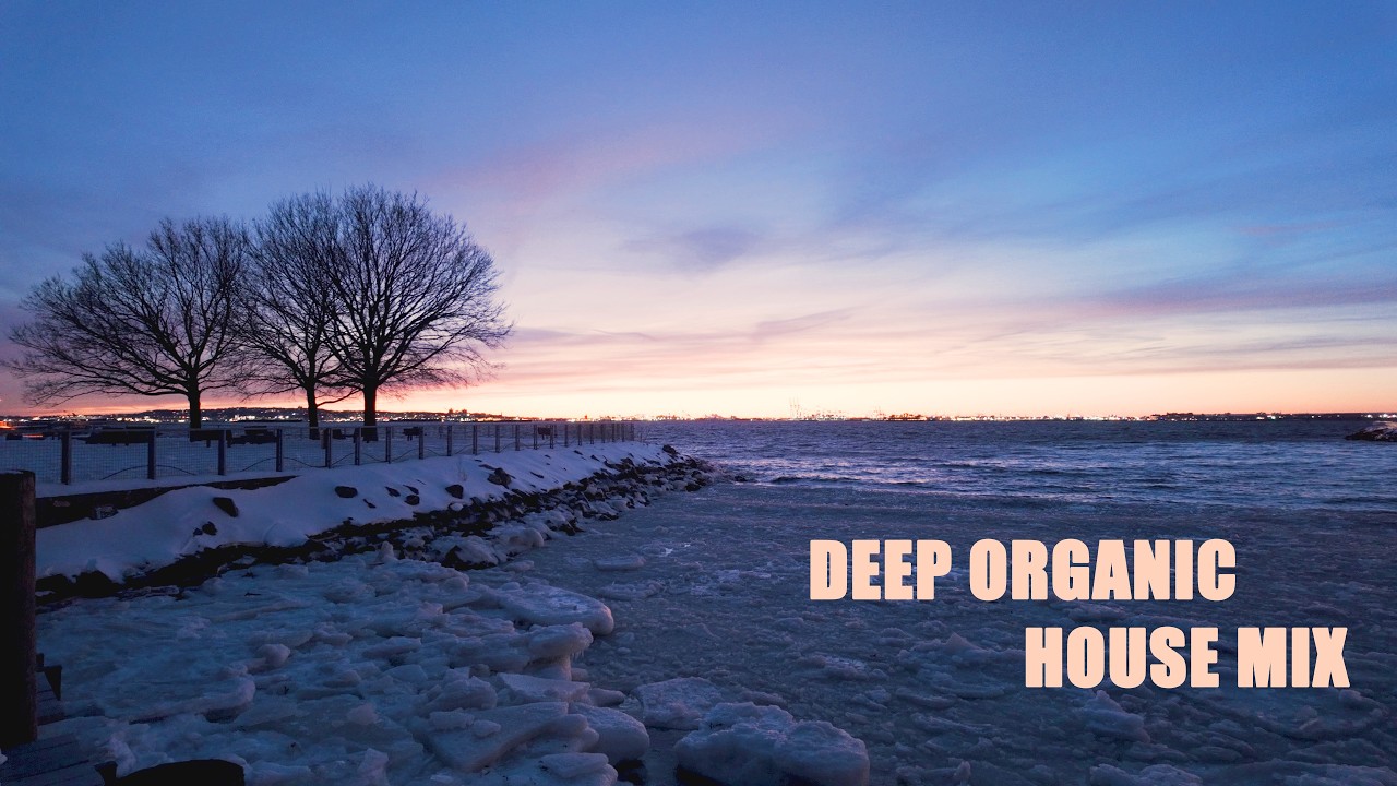 NYC Snow Walk - Deep Melodic House Mix - Relax Work Focus Chill