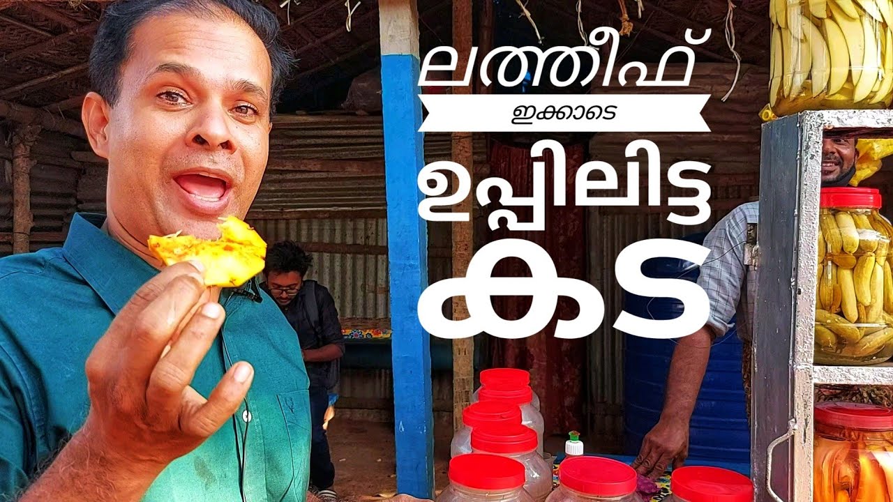 പേരക്ക മുതൽ ഉപ്പിലിട്ട നാല്പതിൽ കൂടുതൽ ഐറ്റം /more than 40 varieties including salted guava