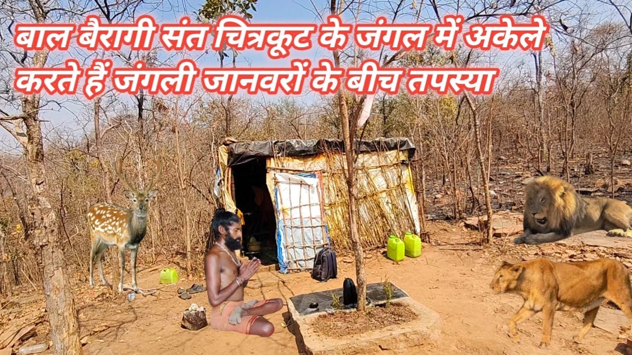 चित्रकूट के जंगल में एक बाल वैरागी संत जंगली जानवरों के बीच में करते हैं तपस्या अकेले रहते हैं