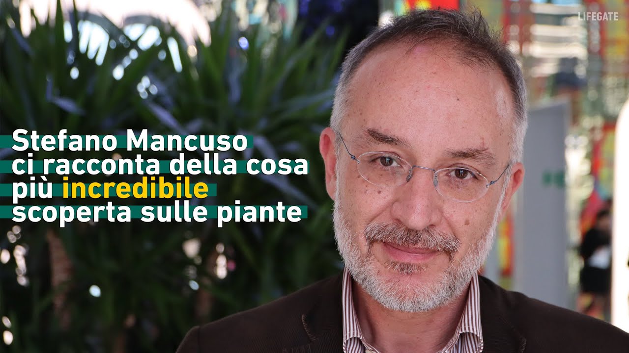 Il neurobiologo Stefano Mancuso ci racconta la cosa più bella che ha scoperto sulle piante