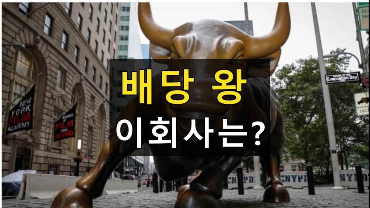 배당 왕= 이 회사는?
