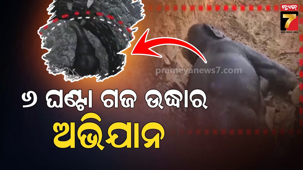 କେନ୍ଦୁଝରରେ 6 ଘଣ୍ଟା ଗଜ ଉଦ୍ଧାର ଅଭିଯାନ; 30 ଫୁଟ ଗଭୀର କୂଅରେ ଖସିପଡ଼ିଥିଲା ହାତୀ