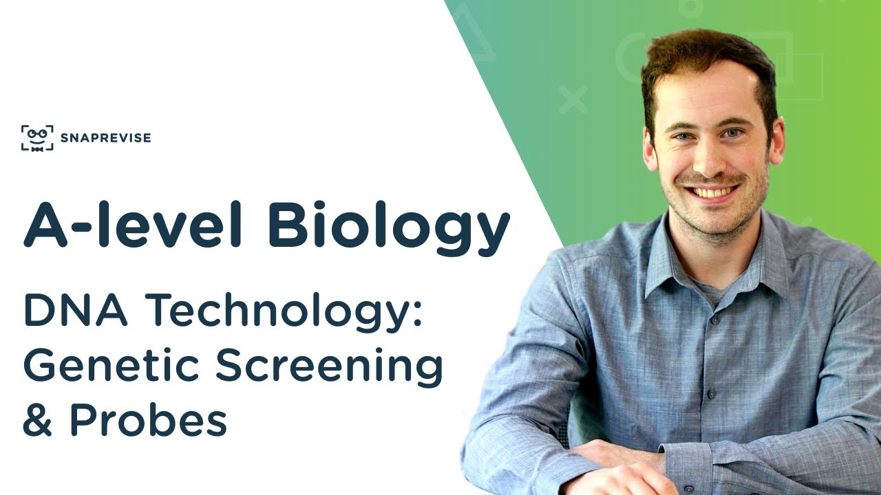DNA Technology: Genetic Screening & Probes | A-level Biology | OCR, AQA, Edexcel