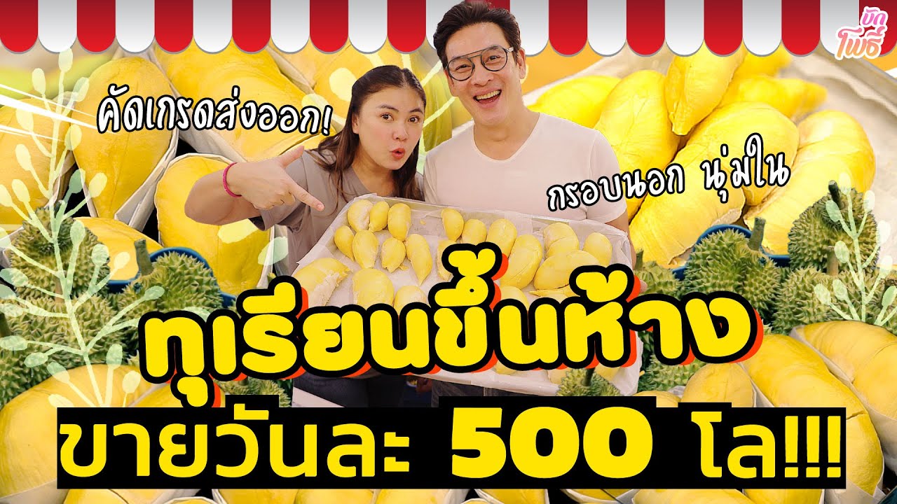 ทุเรียนขึ้นห้าง ขายได้วันละ 500 โล I บักโพธิ์