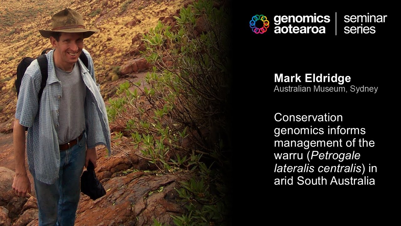 Mark Eldridge: Conservation genomics informs management of the warru in arid South Australia
