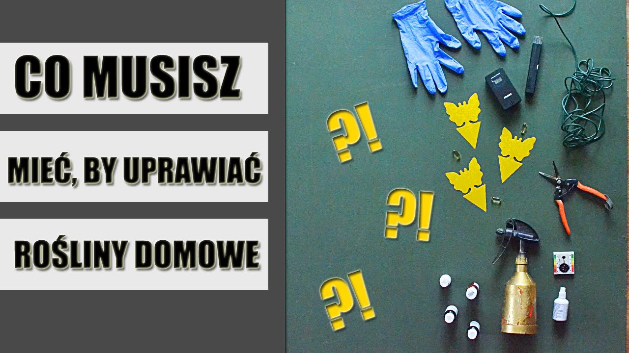 Niezbędnik DOMOWEGO OGRODNIKA. Co jest nam potrzebne do uprawy ROŚLIN DOMOWYCH?